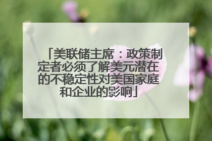 美联储主席：政策制定者必须了解美元潜在的不稳定性对美国家庭和企业的影响