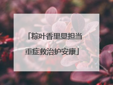 粽叶香里显担当 重症救治护安康