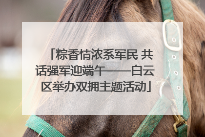 粽香情浓系军民 共话强军迎端午——白云区举办双拥主题活动