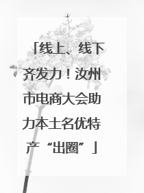 线上、线下齐发力！汝州市电商大会助力本土名优特产“出圈”