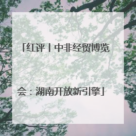 红评丨中非经贸博览会：湖南开放新引擎