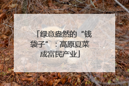 绿意盎然的“钱袋子”：高原夏菜成富民产业