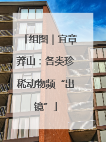 组图｜宜章莽山：各类珍稀动物频“出镜”