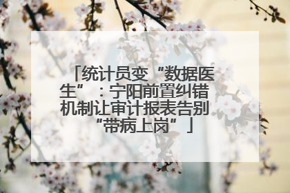 统计员变“数据医生”：宁阳前置纠错机制让审计报表告别“带病上岗”