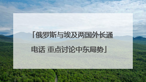 俄罗斯与埃及两国外长通电话 重点讨论中东局势