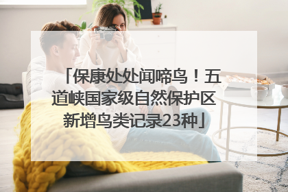 保康处处闻啼鸟！五道峡国家级自然保护区新增鸟类记录23种