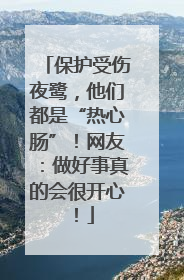 保护受伤夜鹭，他们都是“热心肠”！网友：做好事真的会很开心！