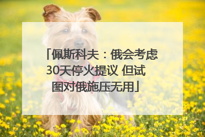 佩斯科夫：俄会考虑30天停火提议 但试图对俄施压无用
