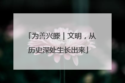 为善兴滕｜文明，从历史深处生长出来