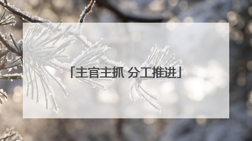 主官主抓 分工推进