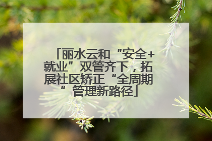 丽水云和“安全+就业”双管齐下，拓展社区矫正“全周期”管理新路径