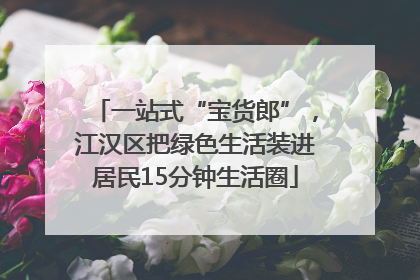 一站式“宝货郎”，江汉区把绿色生活装进居民15分钟生活圈