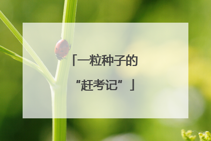 一粒种子的“赶考记”