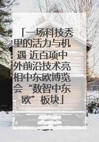 一场科技秀里的活力与机遇 近百项中外前沿技术亮相中东欧博览会“数智中东欧”板块