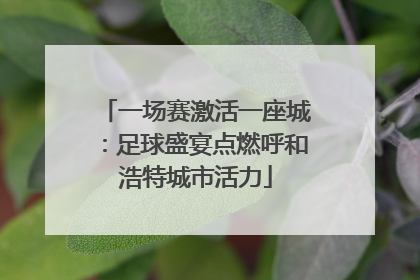 一场赛激活一座城：足球盛宴点燃呼和浩特城市活力