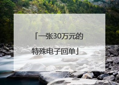 一张30万元的特殊电子回单