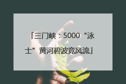 三门峡：5000“泳士”黄河碧波竞风流