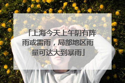 上海今天上午阴有阵雨或雷雨，局部地区雨量可达大到暴雨