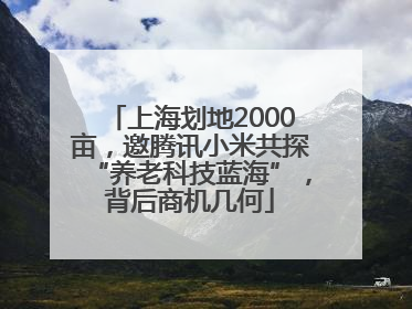 上海划地2000亩，邀腾讯小米共探“养老科技蓝海”，背后商机几何