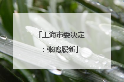 上海市委决定：张鸣履新