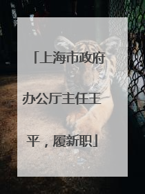上海市政府办公厅主任王平，履新职