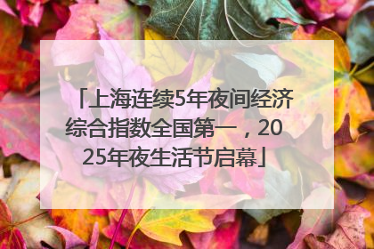 上海连续5年夜间经济综合指数全国第一，2025年夜生活节启幕