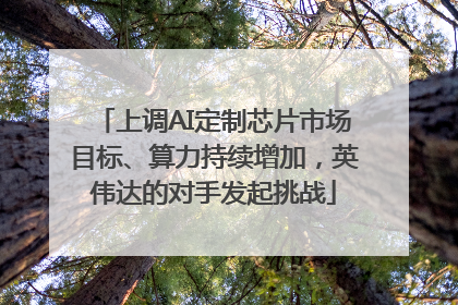上调AI定制芯片市场目标、算力持续增加，英伟达的对手发起挑战