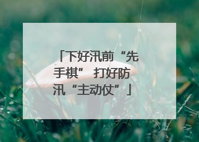 下好汛前“先手棋” 打好防汛“主动仗”
