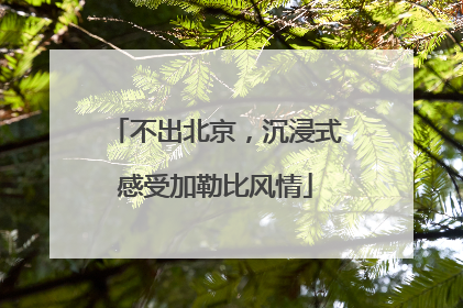 不出北京，沉浸式感受加勒比风情