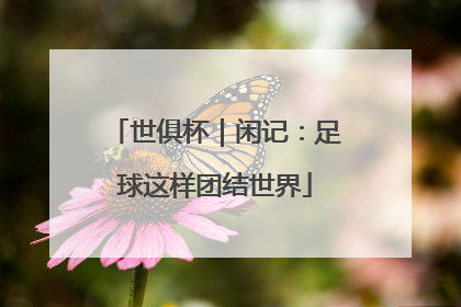 世俱杯｜闲记：足球这样团结世界