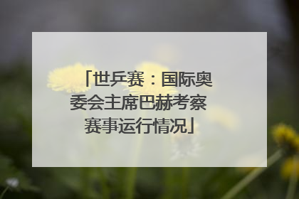 世乒赛：国际奥委会主席巴赫考察赛事运行情况