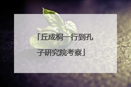 丘成桐一行到孔子研究院考察