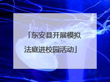 东安县开展模拟法庭进校园活动