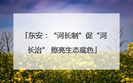 东安：“河长制”促“河长治” 擦亮生态底色
