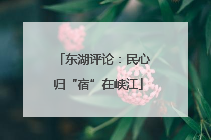 东湖评论：民心归“宿”在峡江
