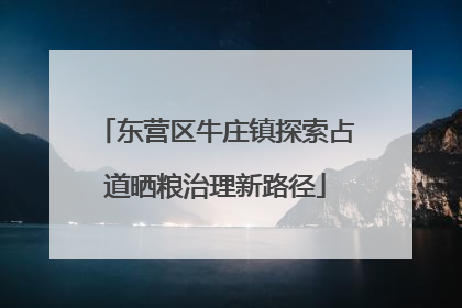 东营区牛庄镇探索占道晒粮治理新路径