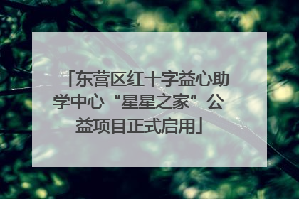 东营区红十字益心助学中心“星星之家”公益项目正式启用