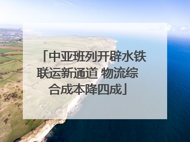 中亚班列开辟水铁联运新通道 物流综合成本降四成