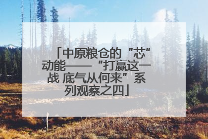 中原粮仓的“芯”动能——“打赢这一战 底气从何来”系列观察之四