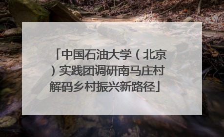 中国石油大学（北京）实践团调研南马庄村解码乡村振兴新路径