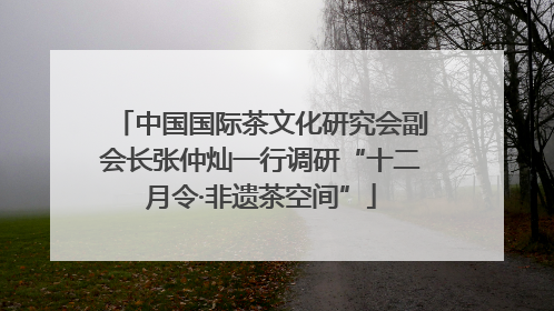 中国国际茶文化研究会副会长张仲灿一行调研“十二月令·非遗茶空间”