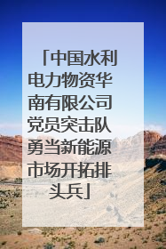 中国水利电力物资华南有限公司党员突击队勇当新能源市场开拓排头兵