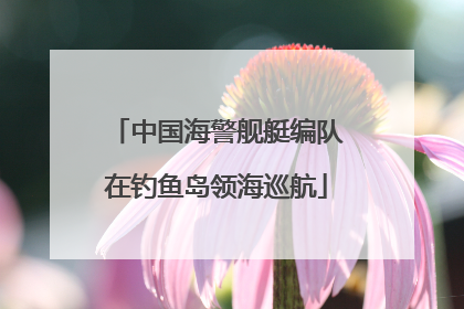 中国海警舰艇编队在钓鱼岛领海巡航