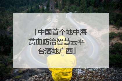 中国首个地中海贫血防治智慧云平台落地广西