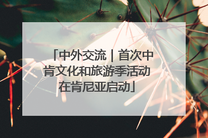 中外交流｜首次中肯文化和旅游季活动在肯尼亚启动