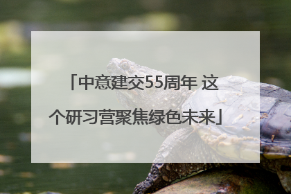 中意建交55周年 这个研习营聚焦绿色未来