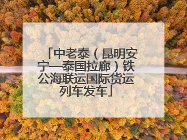 中老泰（昆明安宁—泰国拉廊）铁公海联运国际货运列车发车
