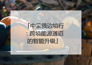 中蒙俄边境行：跨境能源通道的智能升级