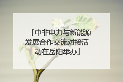 中非电力与新能源发展合作交流对接活动在岳阳举办