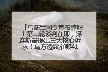 乌陆军司令宣布辞职！第二轮谈判在即，泽连斯基提出三大核心诉求！乌方透露摧毁41架俄战略轰炸机